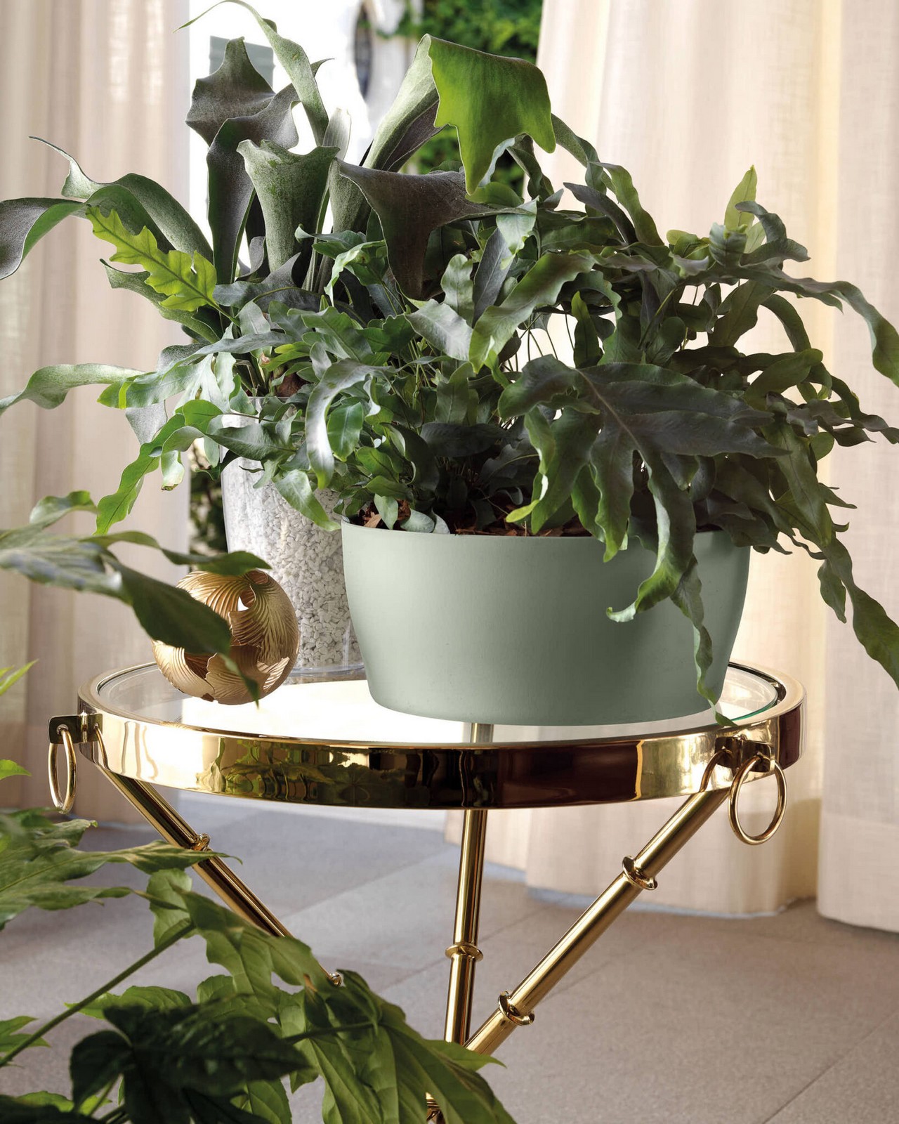 Veca Pots and Planters