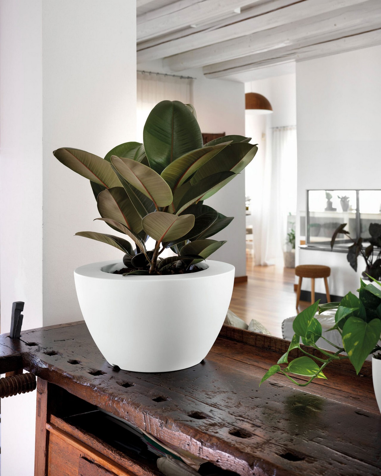 Veca Pots and Planters