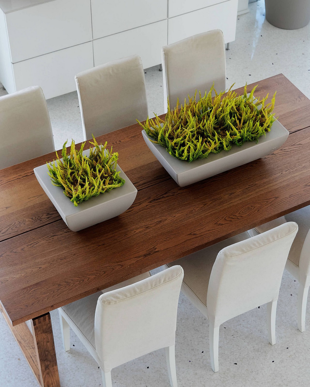 Veca Pots and Planters