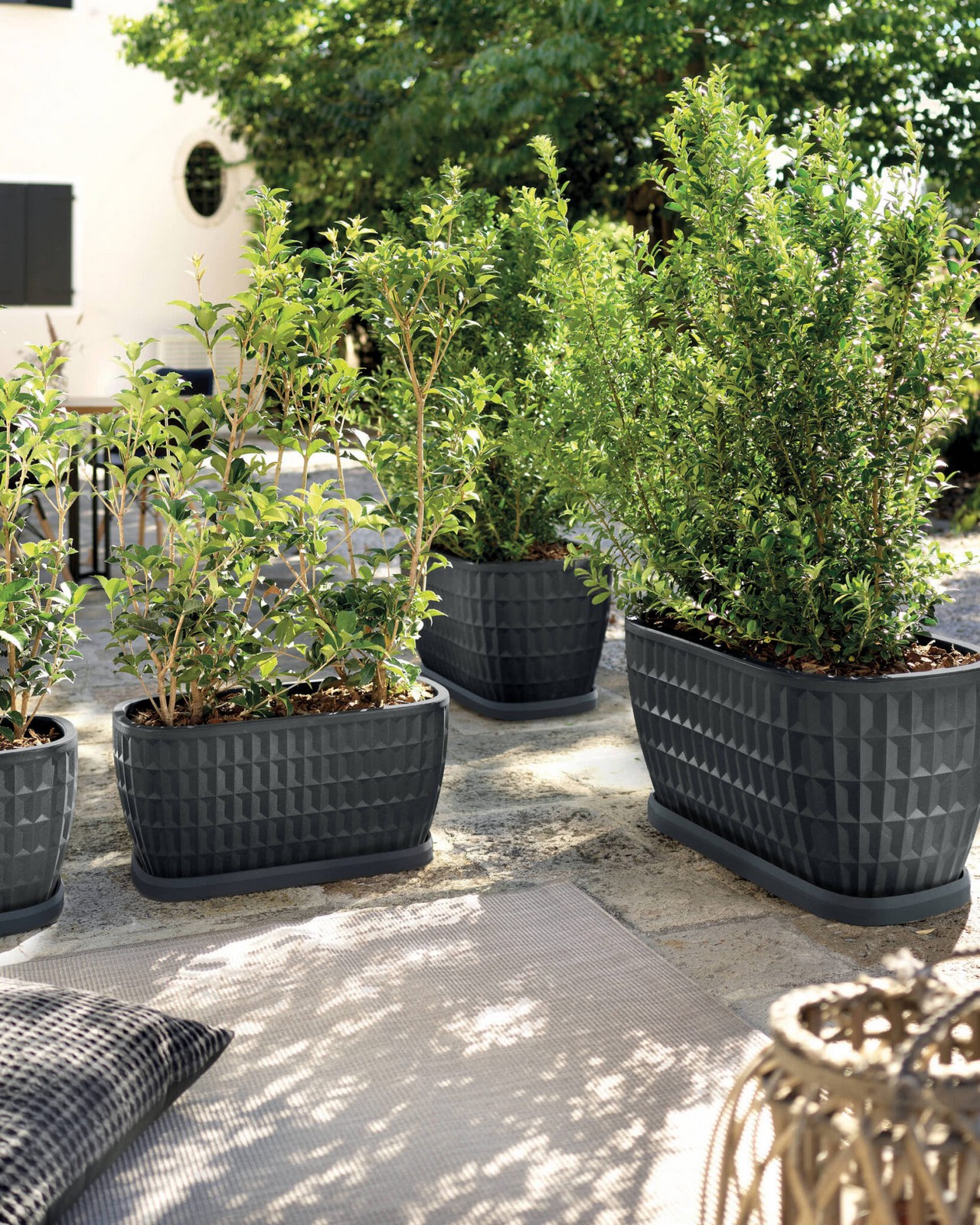 Veca Pots and Planters