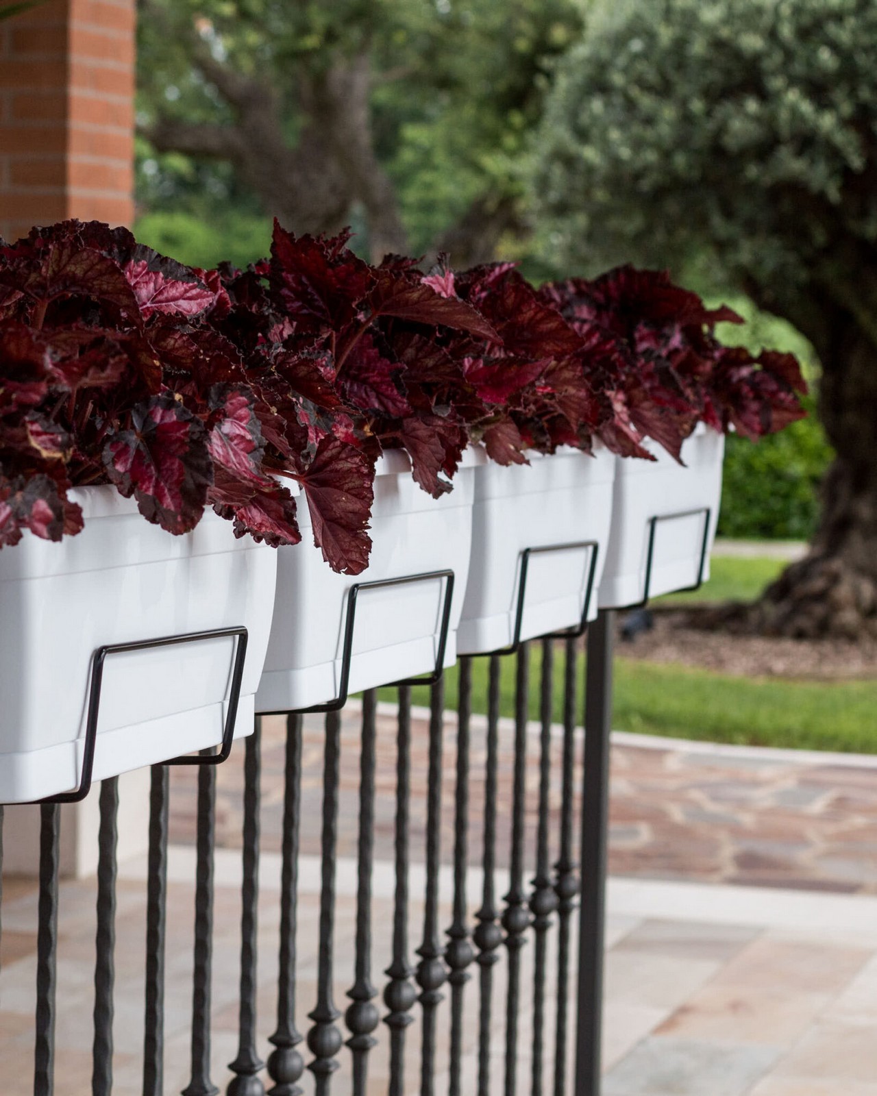 Veca Pots and Planters