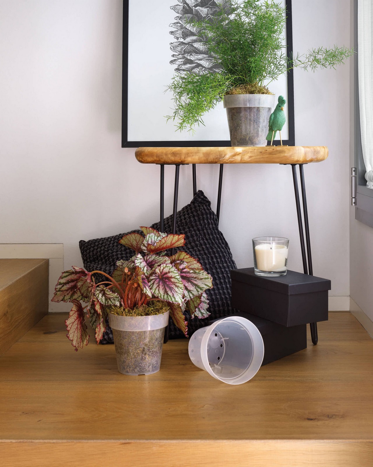 Veca Pots and Planters