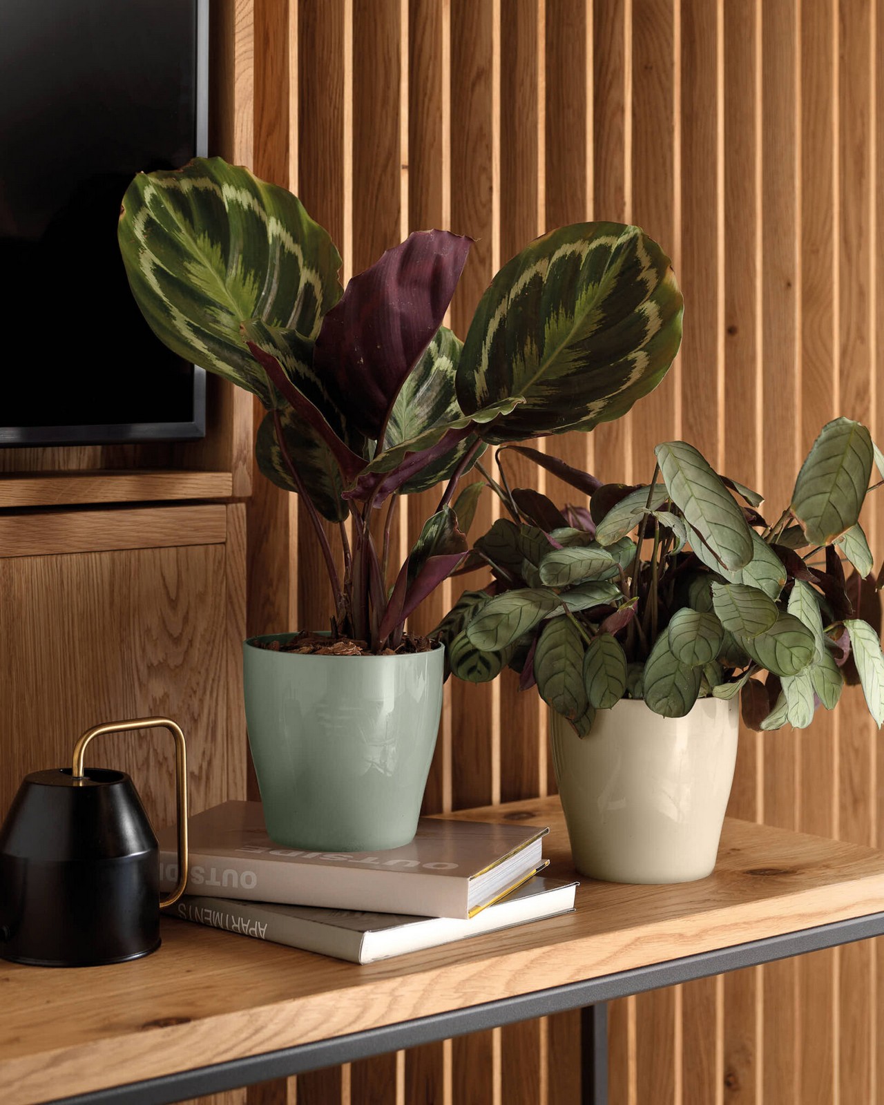 Veca Pots and Planters