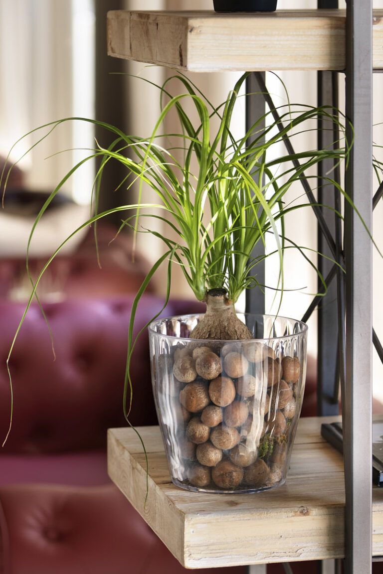 Veca Pots and Planters