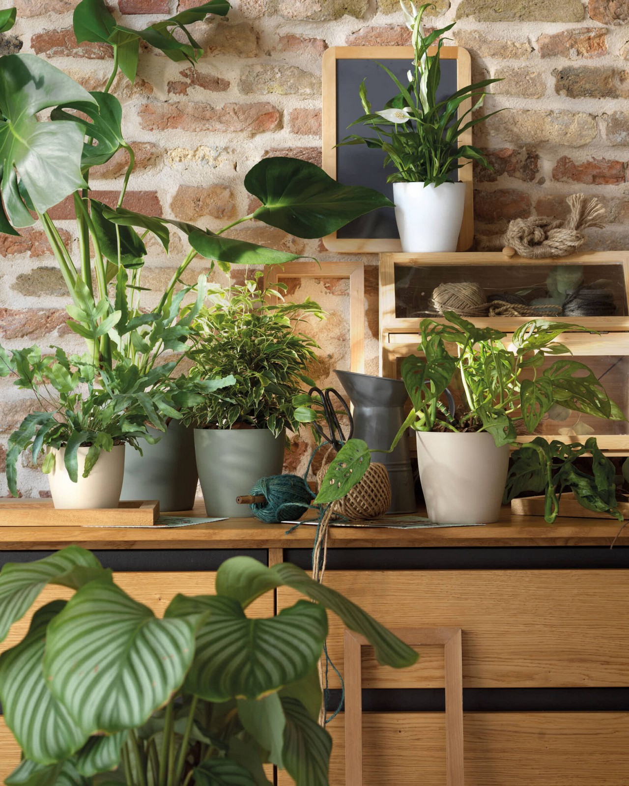 Veca Pots and Planters