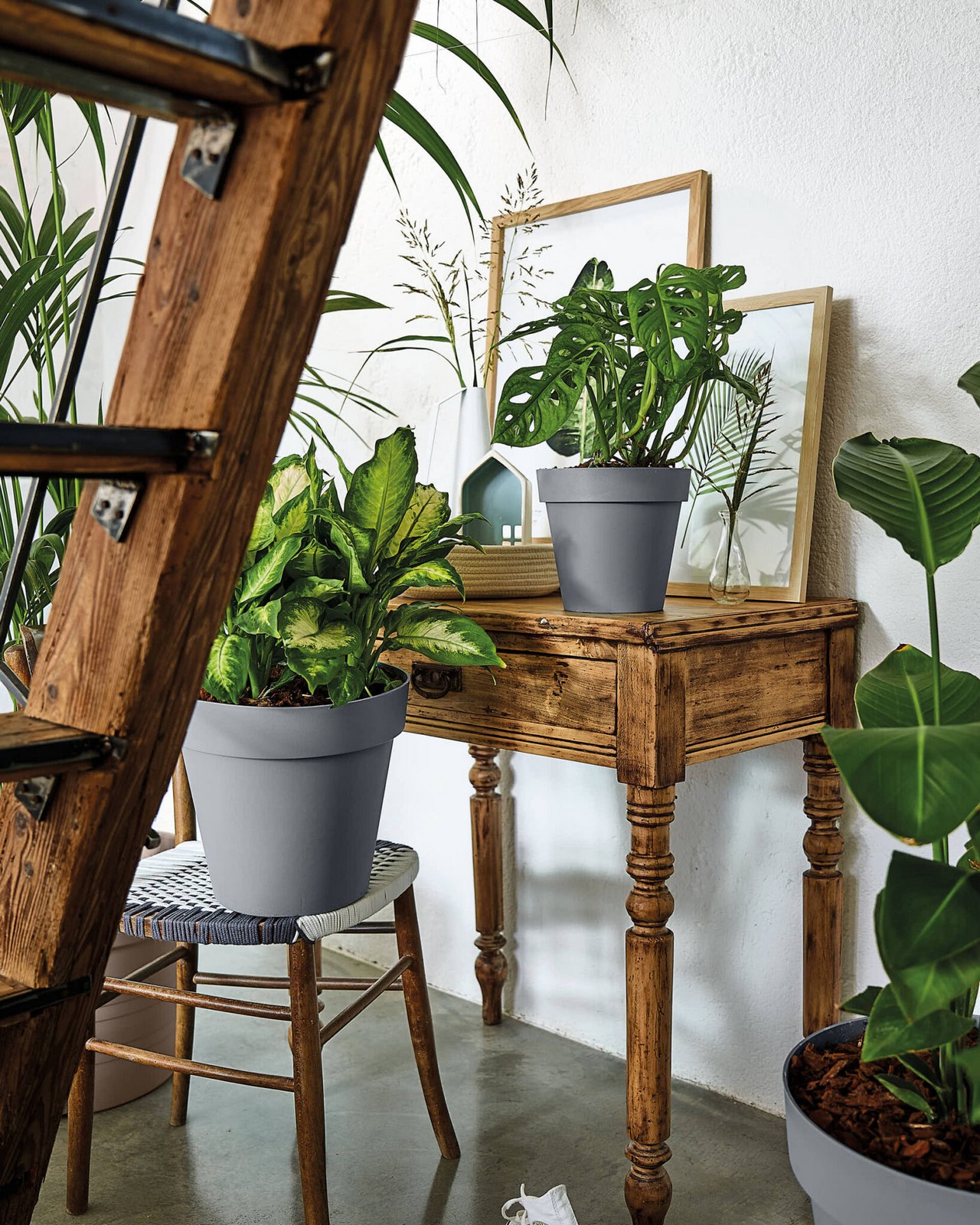 Veca Pots and Planters