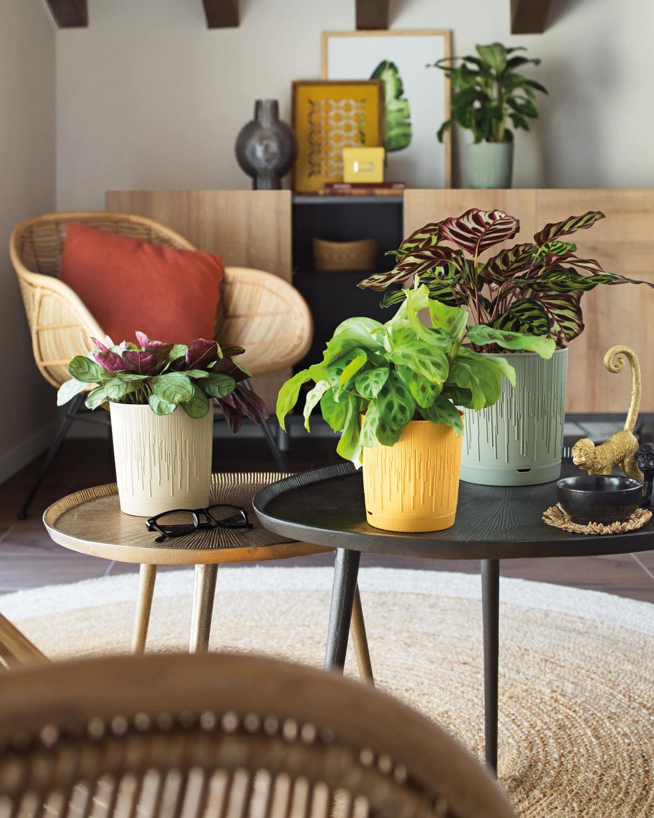 Veca Pots and Planters