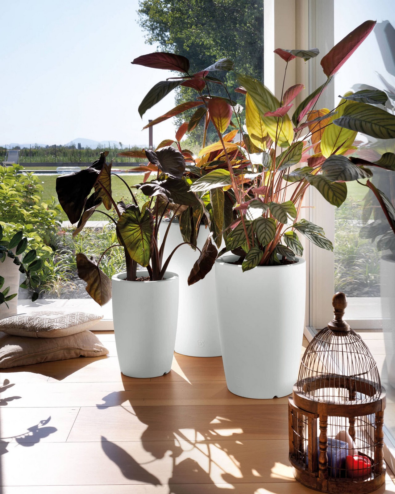 Veca Pots and Planters