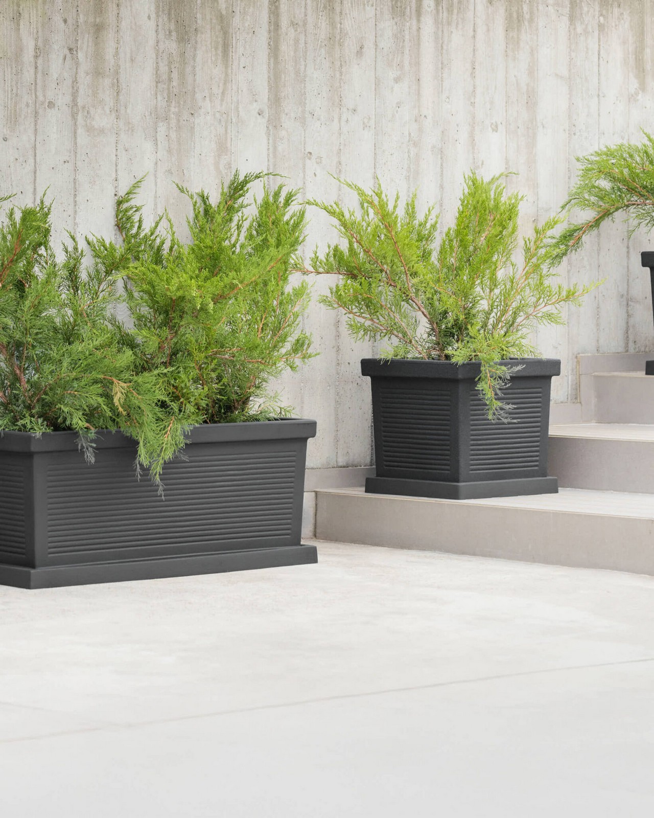 Veca Pots and Planters
