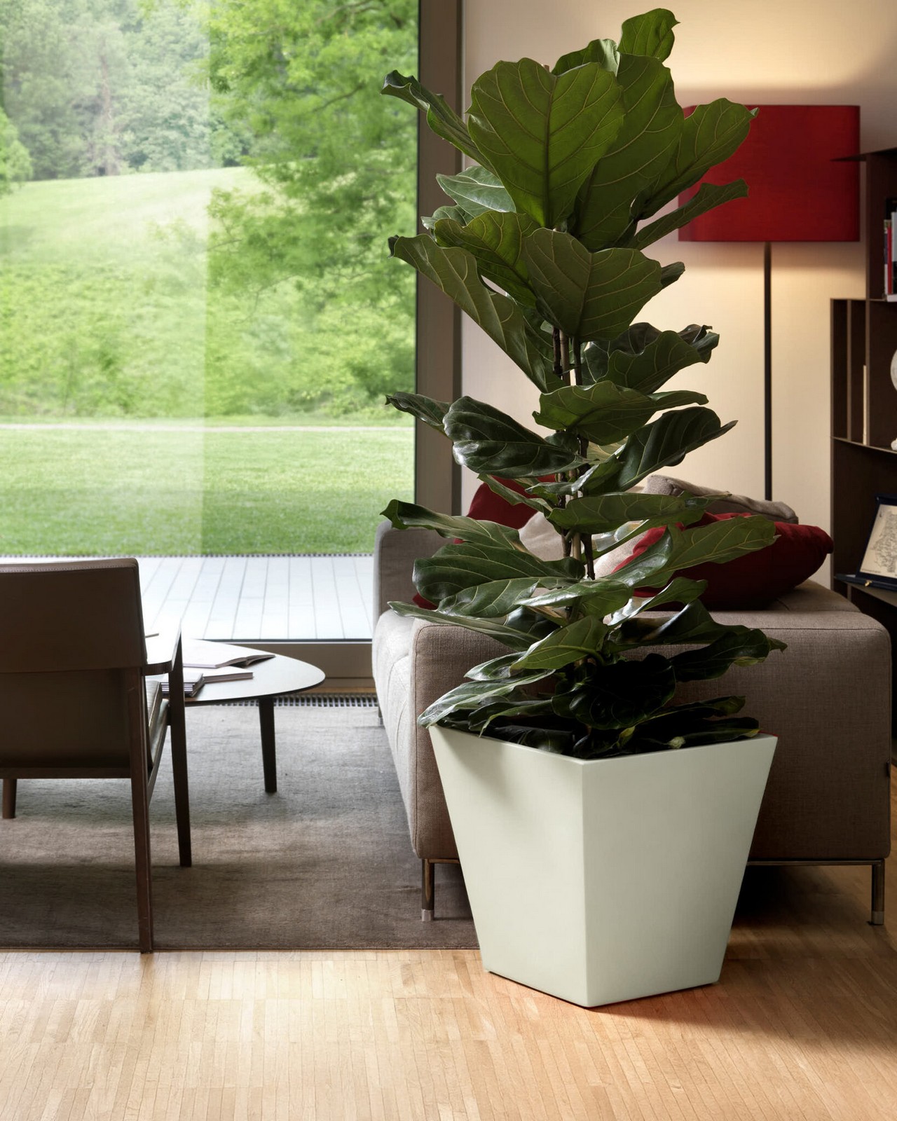 Veca Pots and Planters