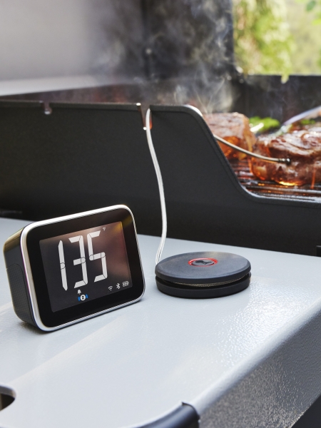 Accessori Barbecue Weber