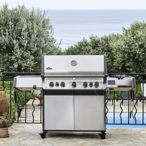 Barbecue Napoleon a Gas